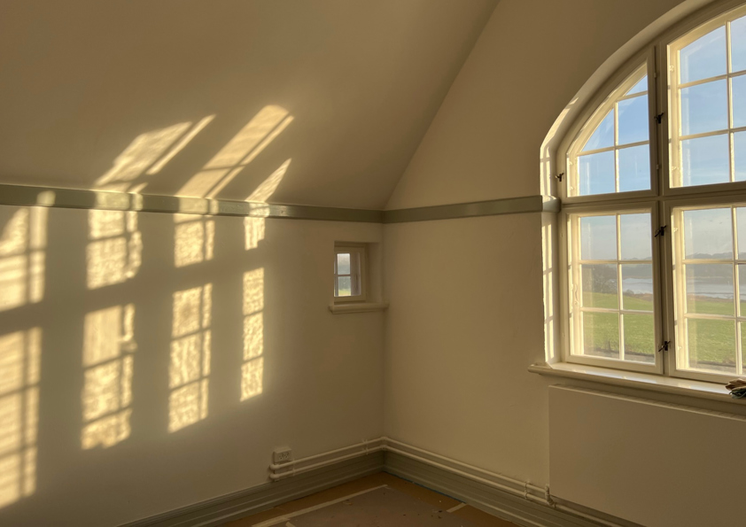 skamowall-mold-moisture-historic-building.jpg7